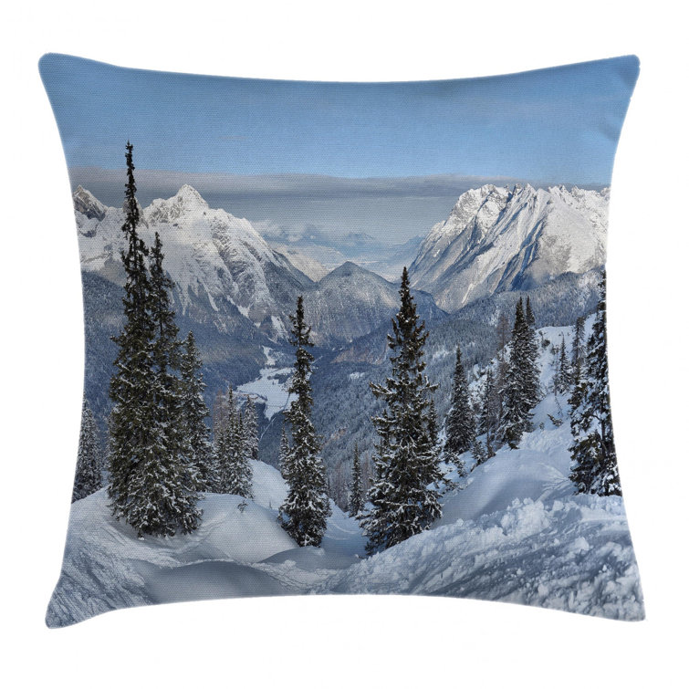 Outdoor winter pillow discount covers